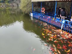 -南湖梦幻岛
