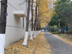 -西南交通大学(九里校区)