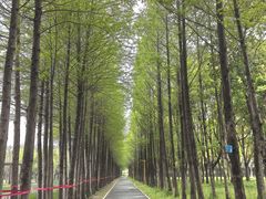 -上海浦江郊野公园-5号停车场