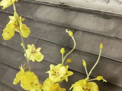 -客语客家菜(KKONE店)