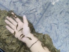 -庐山西海国际温泉度假村