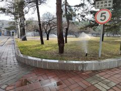 -中央民族大学