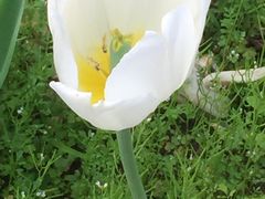 -东南花都花博园