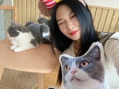 -Catmate·猫肥家润(金润铂宫店)