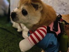 -老外街