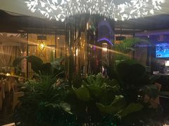 -润园四季椰子鸡火锅(海上世界店)