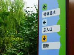 -东升八家郊野公园
