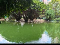 -九龙公园