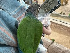 -石家庄市动物园