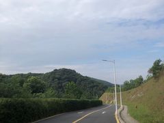 -黄埔油麻山森林公园