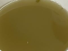 绿豆汤-桂萍特色牛筋牛杂(长堤街总店)
