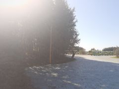 -黑瞎子岛探秘野熊园