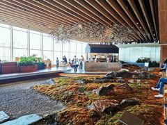 景观位-Seesaw Coffee(朝阳大悦城店)