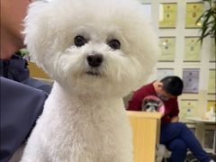 -美联众合动物医院·24h转诊中心