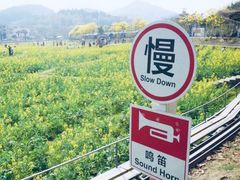 -红山村