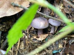 -宁波五龙潭景区