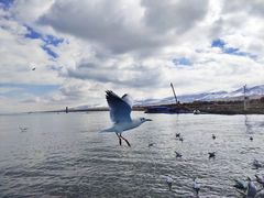 -青海湖二郎剑景区