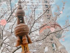 -东方明珠广播电视塔