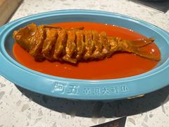 -阿五黄河大鲤鱼(英协路店)