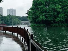 -荔湾湖公园