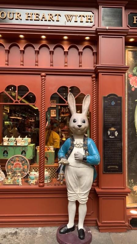 布兰兔的植物庄园-"店铺装修的很可爱,让人有想进去逛逛的冲动.