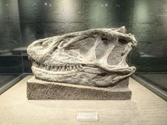 -自贡恐龙博物馆