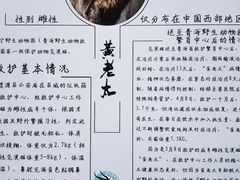 -青藏高原野生动物园