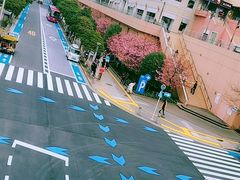 -台场海滨公园船码头