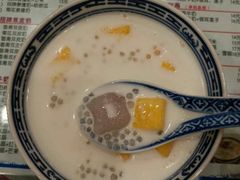 -赵氏传承特色牛奶甜品店(达明店)