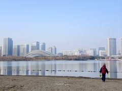 -天鹅湖体育公园