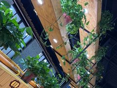 -桃源村铁锅炖鱼(体育馆道店)