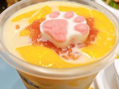 杨枝甘露冰粉-付掌柜在成都·热炒砂锅集(金禾店)