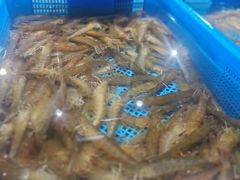 -盒马鲜生(公园1903店)
