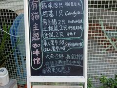 -有猫主题·治愈系猫咖(曾厝垵店)