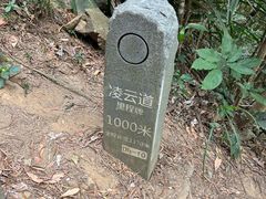 -梧桐山风景名胜区