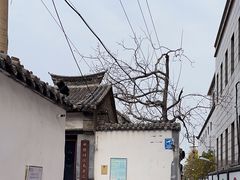 -百花洲