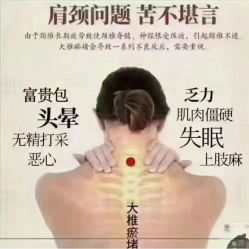 -香薇妮丝·定制减肥·身材管理