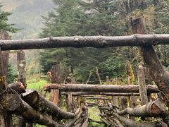 -硗碛藏寨·神木垒景区