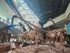 -安徽省地质博物馆