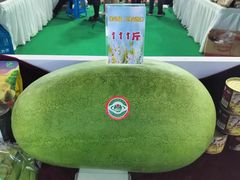 -沈阳国际会展中心管理有限公司