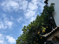 -定胜糕小店-蒋顺发