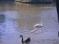 -沈阳森林动物园