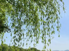 -羊山湖公园