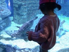 -烟台海昌鲸鲨海洋公园