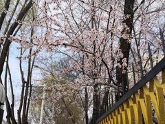 -满都海公园