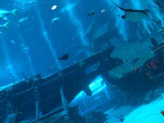 -新加坡海洋生态馆