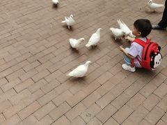 -王府井奥莱临潼小镇(临潼店)