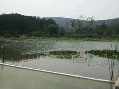 android_upload_pic-云龙湖旅游景区