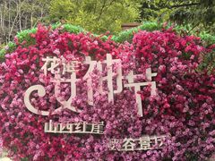 -红崖峡谷景区