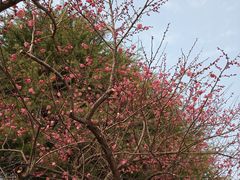 -白塘生态植物园